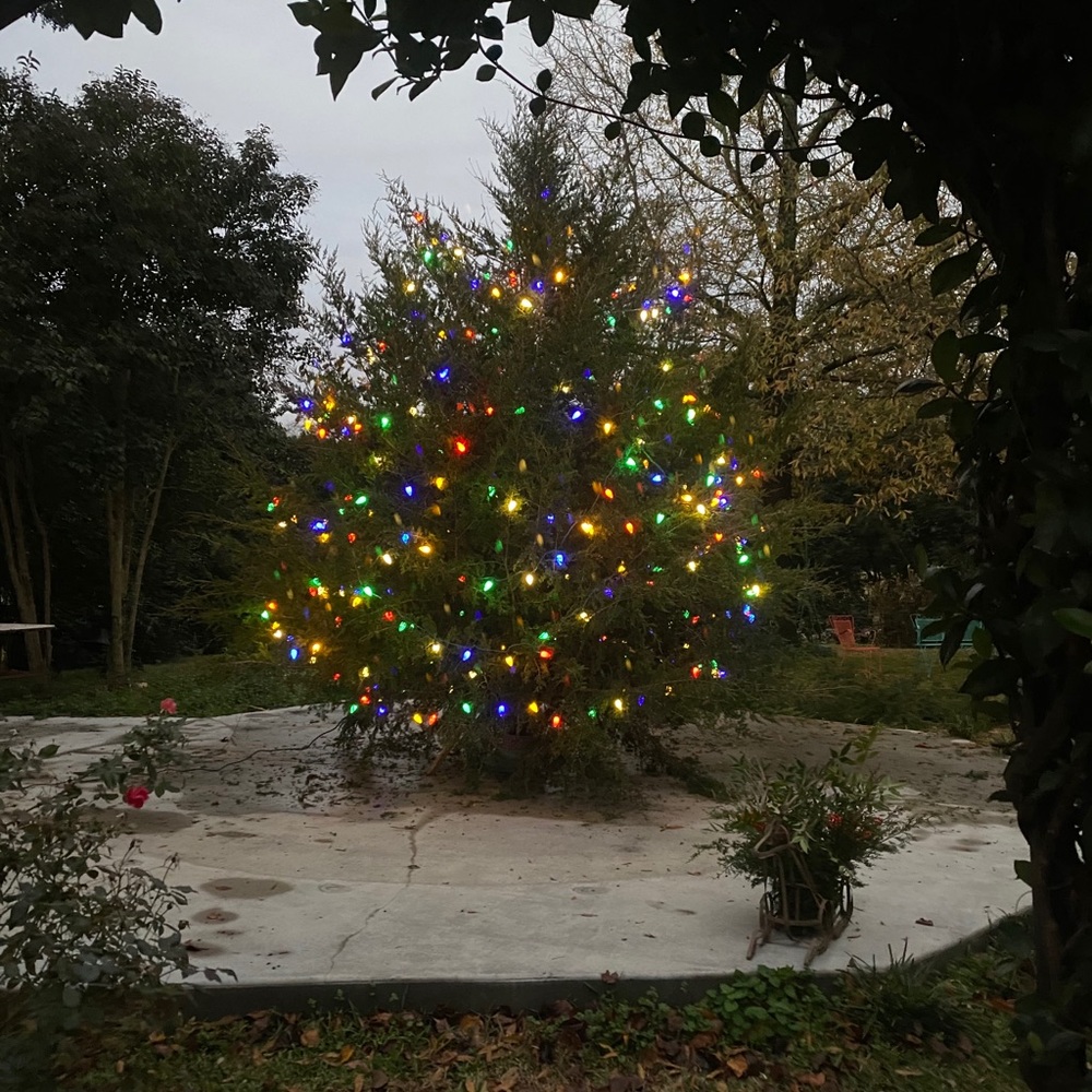 Meet your Posher, Janice